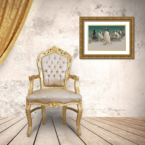 Bleaker Island Gentoo penguins and blowing sand Gold Ornate Wood Framed Art Print with Double Matting by Illg, Cathy and Gordon