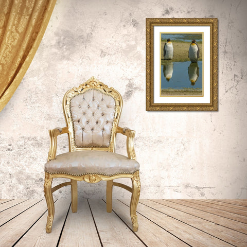 East Falkland King penguins reflecting in water Gold Ornate Wood Framed Art Print with Double Matting by Illg, Cathy and Gordon