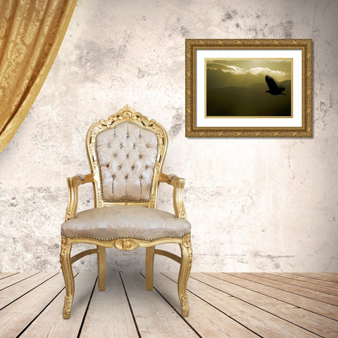 AK, Homer Silhouette of bald eagle flying Gold Ornate Wood Framed Art Print with Double Matting by Morris, Arthur