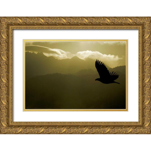 AK, Homer Silhouette of bald eagle flying Gold Ornate Wood Framed Art Print with Double Matting by Morris, Arthur