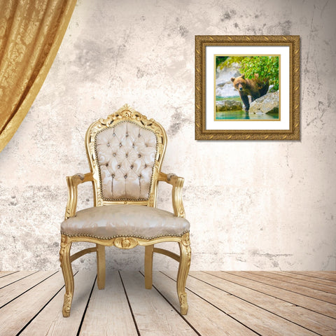 Alaska- Lake Clark. Grizzly bear walks along the shoreline among the boulders. Gold Ornate Wood Framed Art Print with Double Matting by Muir, Janet