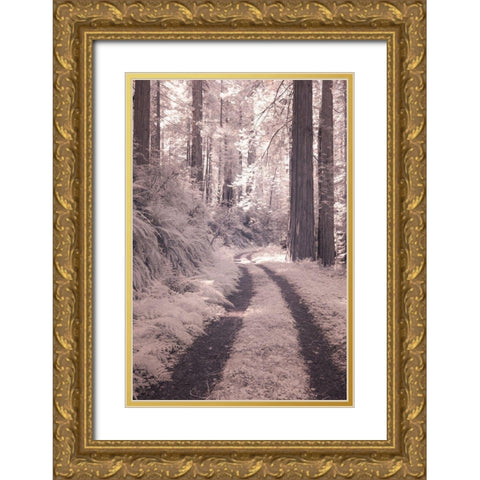 California Redwood National Park-infrared of Redwood forest along the old Pacific Highway Gold Ornate Wood Framed Art Print with Double Matting by Eggers, Terry