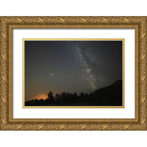 USA-Colorado-Eleven Mile Canyon The Milky Way galaxy and forest silhouette at night Gold Ornate Wood Framed Art Print with Double Matting by Jaynes Gallery