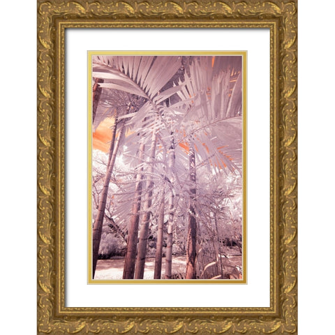 USA-Hawaii-Kauai-Infrared of palm trees of Kauai Gold Ornate Wood Framed Art Print with Double Matting by Eggers, Terry