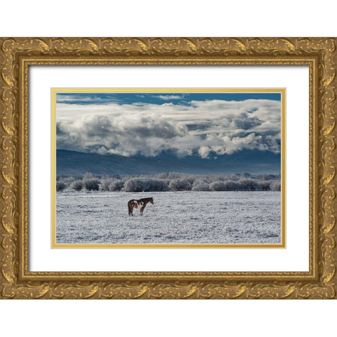 Horse grazing in winter with Bighole Mountains in the distance-Teton Valley-Idaho Gold Ornate Wood Framed Art Print with Double Matting by Garber, Howie