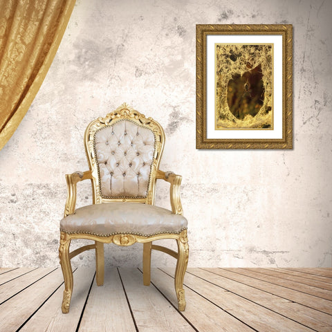 MI, Black-and-yellow argiope spider spinning Gold Ornate Wood Framed Art Print with Double Matting by Carlson, Mark