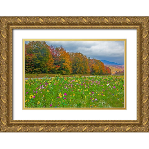 USA-New Hampshire-White Mountains in background with meridian planted with flowers along Interstate Gold Ornate Wood Framed Art Print with Double Matting by Gulin, Sylvia