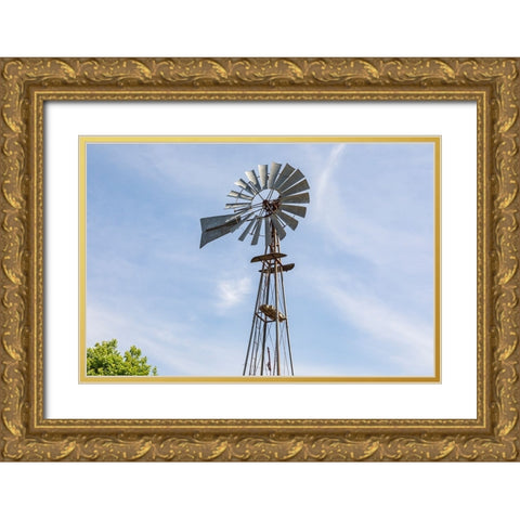 Castroville-Texas-USA-Windmill in the Texas Hill Country Gold Ornate Wood Framed Art Print with Double Matting by Wilson, Emily M.