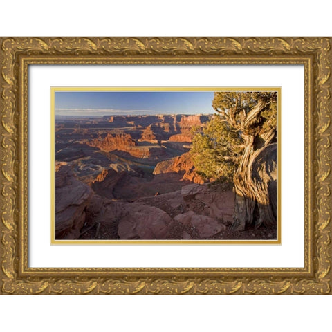 Utah, Dead Horse Point SP Sunrise on the park Gold Ornate Wood Framed Art Print with Double Matting by Illg, Cathy and Gordon