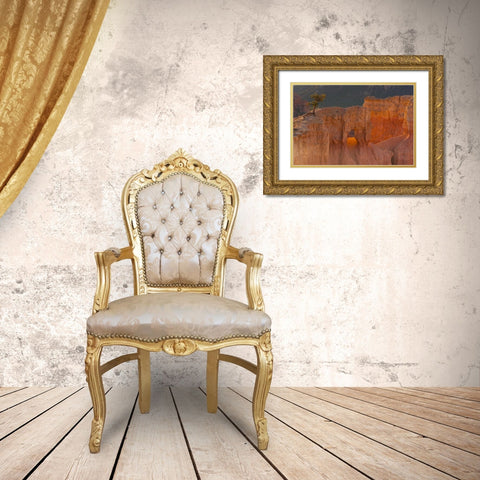 Utah, Bryce Canyon Tree in rock formation Gold Ornate Wood Framed Art Print with Double Matting by Illg, Cathy and Gordon