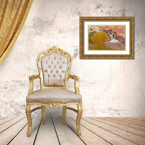 UT, Capitol Reef NP Waterfall on Fremont River Gold Ornate Wood Framed Art Print with Double Matting by Illg, Cathy and Gordon