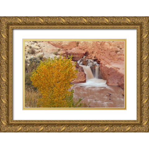 UT, Capitol Reef NP Waterfall on Fremont River Gold Ornate Wood Framed Art Print with Double Matting by Illg, Cathy and Gordon