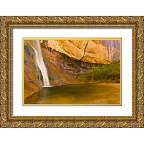 UT, Lower Calf Creek Falls Waterfall into pool Gold Ornate Wood Framed Art Print with Double Matting by Illg, Cathy and Gordon