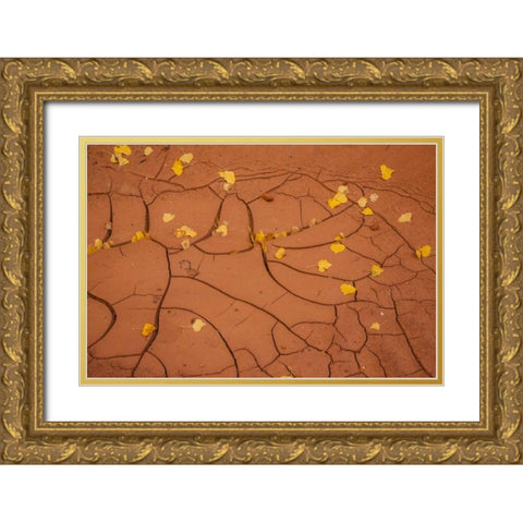Utah, Capitol Reef Cracked mud and fall leaves Gold Ornate Wood Framed Art Print with Double Matting by Illg, Cathy and Gordon