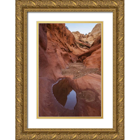 UT, Capitol Reef Lower Muley Twist Canyon pools Gold Ornate Wood Framed Art Print with Double Matting by Illg, Cathy and Gordon