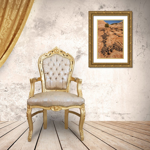 UT, Grand Staircase Escalante NM Moki marbles Gold Ornate Wood Framed Art Print with Double Matting by Illg, Cathy and Gordon