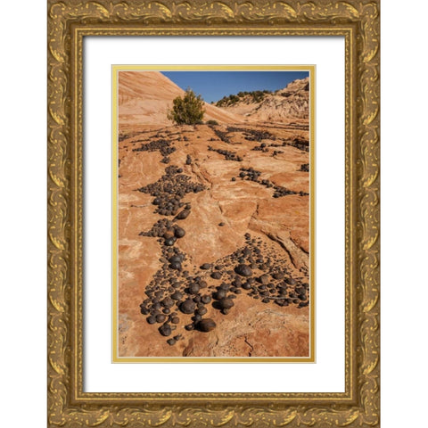 UT, Grand Staircase Escalante NM Moki marbles Gold Ornate Wood Framed Art Print with Double Matting by Illg, Cathy and Gordon