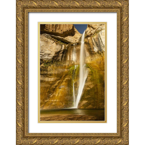 UT, Grand Staircase Escalante, Calf Creek Falls Gold Ornate Wood Framed Art Print with Double Matting by Illg, Cathy and Gordon