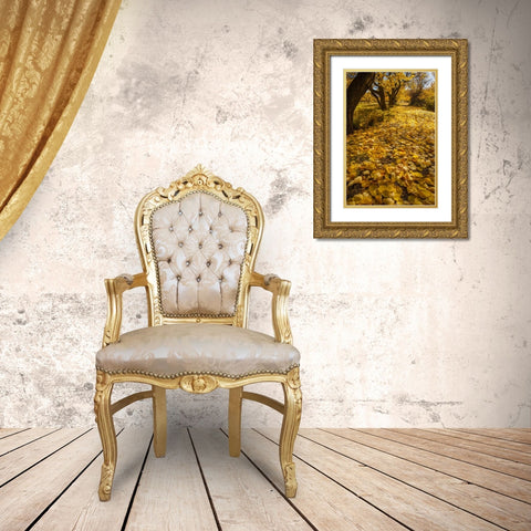 UT, Capitol Reef Fremont River Trail in autumn Gold Ornate Wood Framed Art Print with Double Matting by Illg, Cathy and Gordon