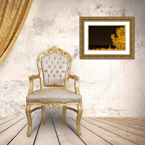 USA, Utah Stary night sky in autumn Gold Ornate Wood Framed Art Print with Double Matting by Illg, Cathy and Gordon