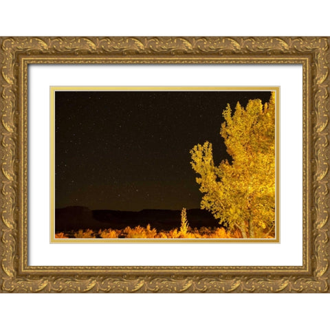 USA, Utah Stary night sky in autumn Gold Ornate Wood Framed Art Print with Double Matting by Illg, Cathy and Gordon