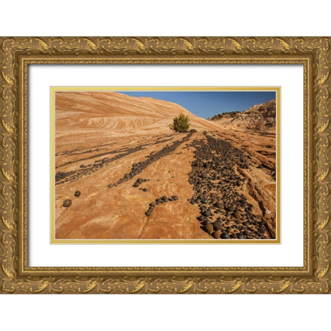 UT, Grand Staircase Escalante NM Moki marbles Gold Ornate Wood Framed Art Print with Double Matting by Illg, Cathy and Gordon