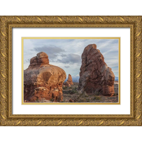 Utah, Arches NP Scenic of sandstone boulders Gold Ornate Wood Framed Art Print with Double Matting by Illg, Cathy and Gordon