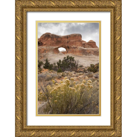 USA, Utah, Arches NP Scenic of Tunnel Arch Gold Ornate Wood Framed Art Print with Double Matting by Illg, Cathy and Gordon