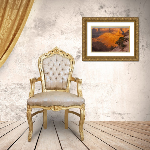 Utah, Dead Horse Point SP Sunrise on canyon Gold Ornate Wood Framed Art Print with Double Matting by Illg, Cathy and Gordon