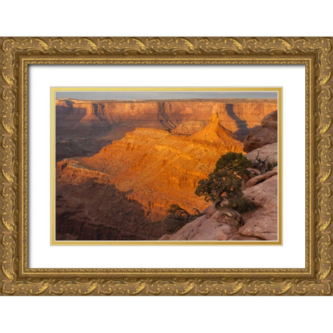 Utah, Dead Horse Point SP Sunrise on canyon Gold Ornate Wood Framed Art Print with Double Matting by Illg, Cathy and Gordon
