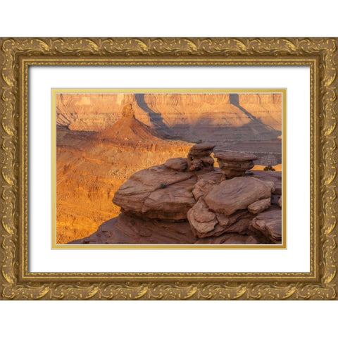 Utah, Dead Horse Point SP Sunrise on canyon Gold Ornate Wood Framed Art Print with Double Matting by Illg, Cathy and Gordon