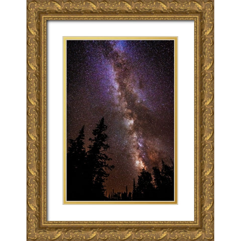 Milky Way over Cedar Breaks National Monument-Utah-USA Gold Ornate Wood Framed Art Print with Double Matting by Bishop, Russ