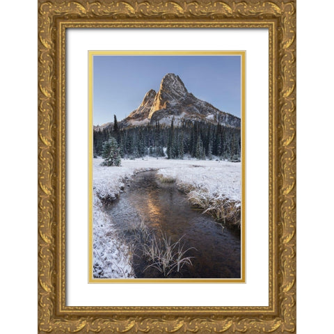 Fresh autumn snow on Liberty Bell Mountain and meadows of Washington State Pass Gold Ornate Wood Framed Art Print with Double Matting by Majchrowicz, Alan