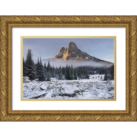 Fresh autumn snow on Liberty Bell Mountain and meadows of Washington State Pass Gold Ornate Wood Framed Art Print with Double Matting by Majchrowicz, Alan