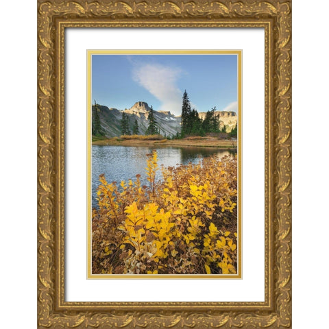 Heather Meadows in autumn Table Mountain is in the distance Gold Ornate Wood Framed Art Print with Double Matting by Majchrowicz, Alan
