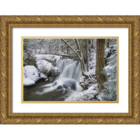 Whatcom Falls after fresh dusting of winter snow Whatcom Falls City Park-Bellingham Gold Ornate Wood Framed Art Print with Double Matting by Majchrowicz, Alan
