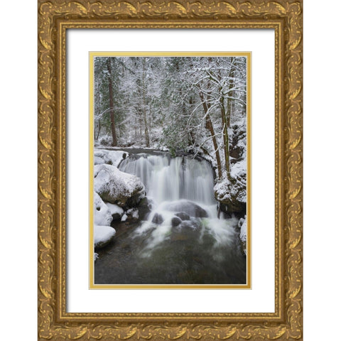 Whatcom Falls after fresh dusting of winter snow Whatcom Falls City Park-Bellingham Gold Ornate Wood Framed Art Print with Double Matting by Majchrowicz, Alan