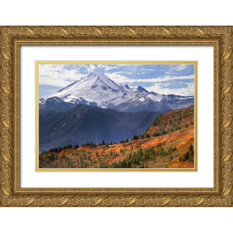 WA, Mount Baker from Yellow Aster Butte Trail Gold Ornate Wood Framed Art Print with Double Matting by Paulson, Don