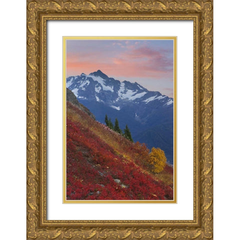 WA, Mount Baker Wilderness View of Mount Shuksan Gold Ornate Wood Framed Art Print with Double Matting by Paulson, Don
