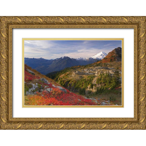 WA, Mount Baker Wilderness View of Mount Shuksan Gold Ornate Wood Framed Art Print with Double Matting by Paulson, Don