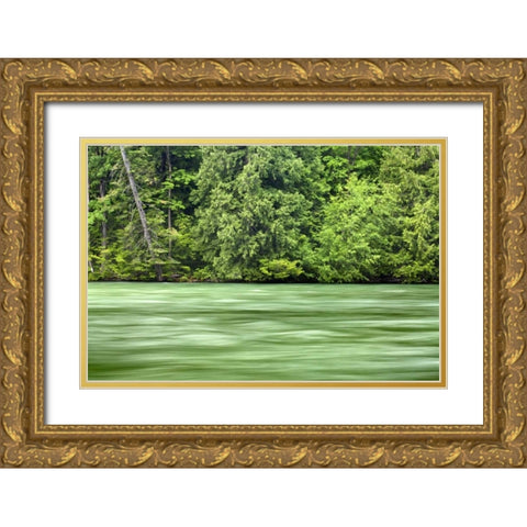 WA, Stehekin Stehekin River through the Cascades Gold Ornate Wood Framed Art Print with Double Matting by Paulson, Don