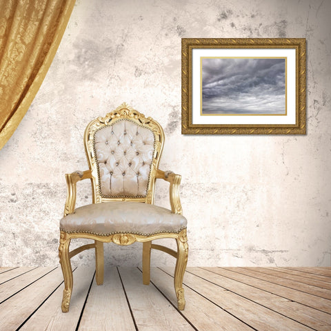 USA, Washington, Seabeck Billowing storm clouds Gold Ornate Wood Framed Art Print with Double Matting by Paulson, Don
