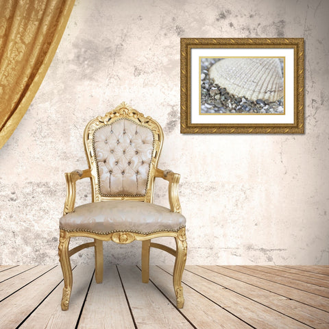 Washington, Seabeck Cockle shell in Hood Canal Gold Ornate Wood Framed Art Print with Double Matting by Paulson, Don