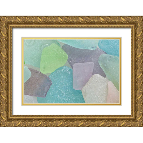 USA, Washington Close-up of colorful beach glass Gold Ornate Wood Framed Art Print with Double Matting by Paulson, Don