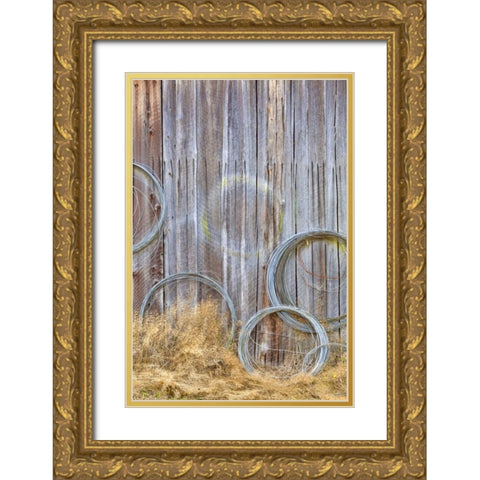 WA, Silverdale Wire coiled on barn wall Gold Ornate Wood Framed Art Print with Double Matting by Paulson, Don