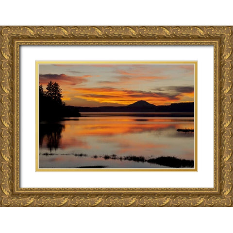 USA, Washington Sunset on Lake Quinault Gold Ornate Wood Framed Art Print with Double Matting by Paulson, Don