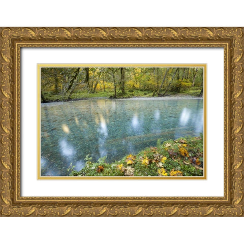 Washington Quinault River in the Olympic NP Gold Ornate Wood Framed Art Print with Double Matting by Paulson, Don