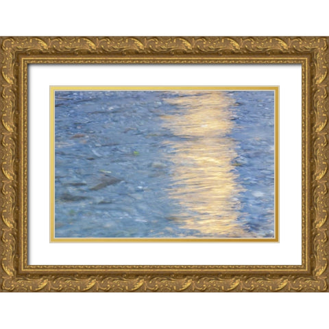 Washington Quinault River in the Olympic NP Gold Ornate Wood Framed Art Print with Double Matting by Paulson, Don