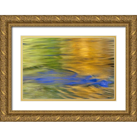 WA, Quinault Autumn reflect in Quinault River Gold Ornate Wood Framed Art Print with Double Matting by Paulson, Don