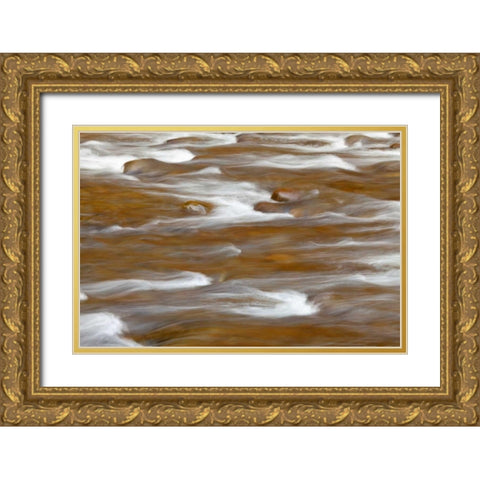 WA, Olympic NP autumn reflects in Solduc River Gold Ornate Wood Framed Art Print with Double Matting by Paulson, Don